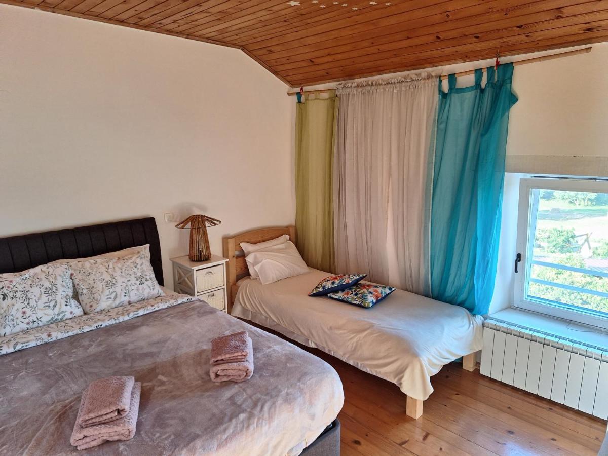 Villa Blue Zone Umag Extérieur photo